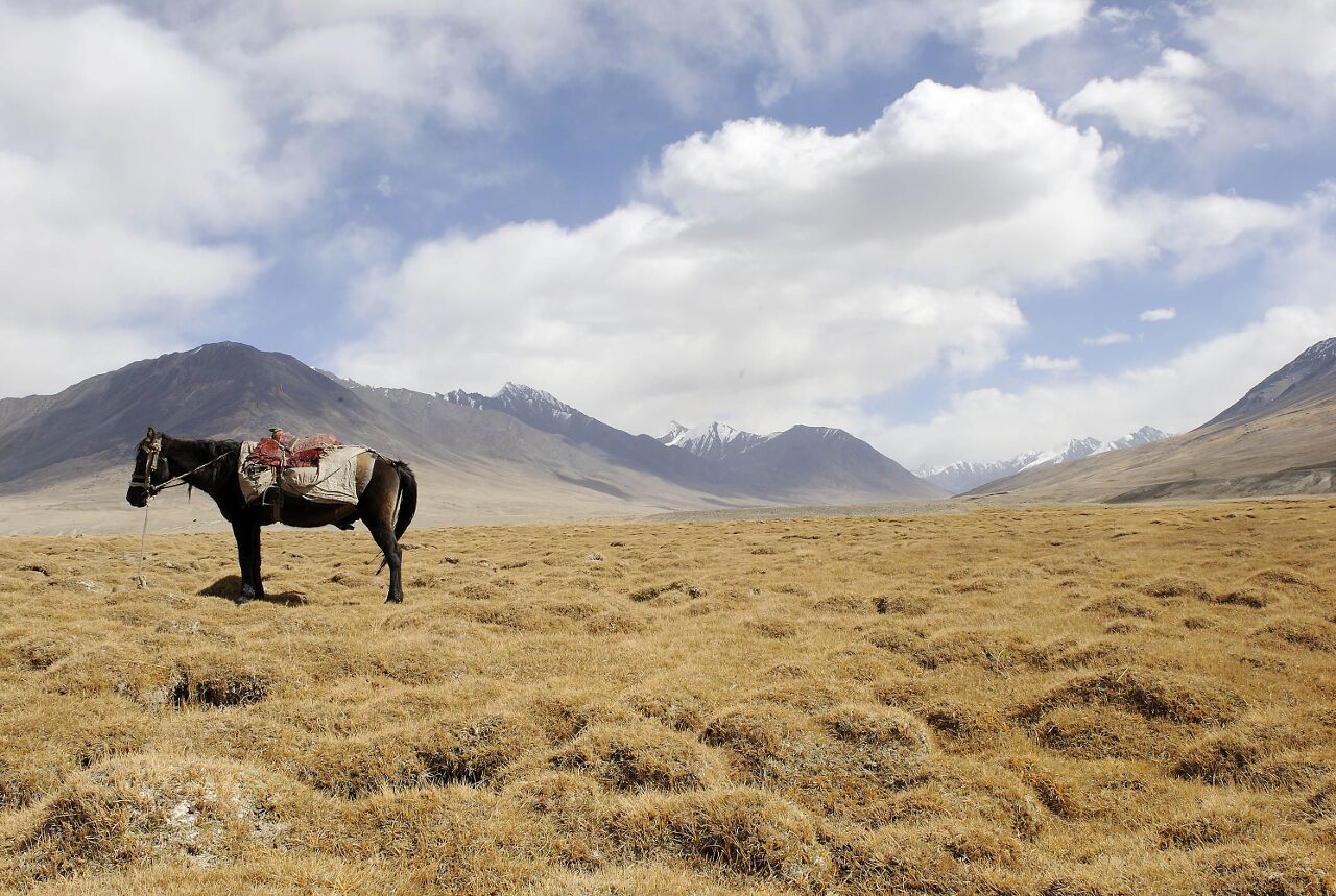 Wakhan